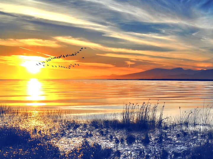 Apprenticeships main image cropped 2