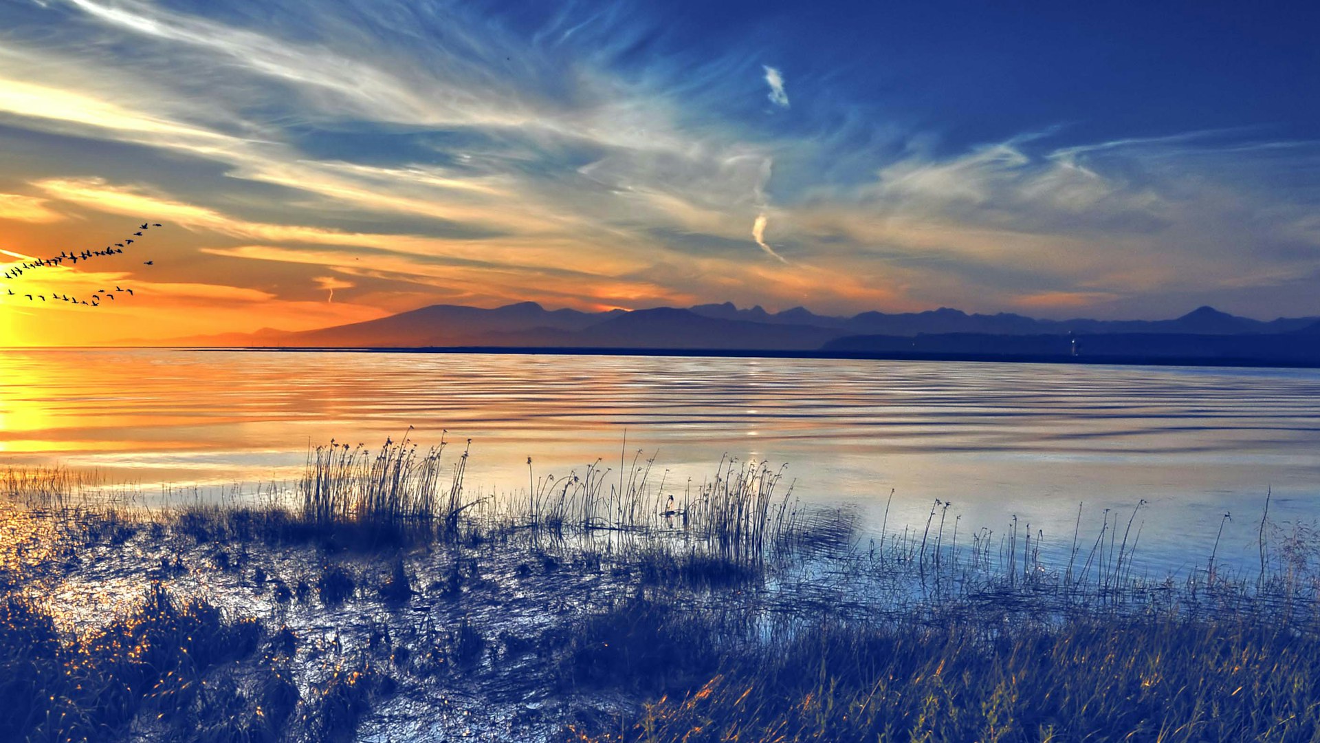 Apprenticeships main image cropped