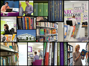 Arc Gl Background 300