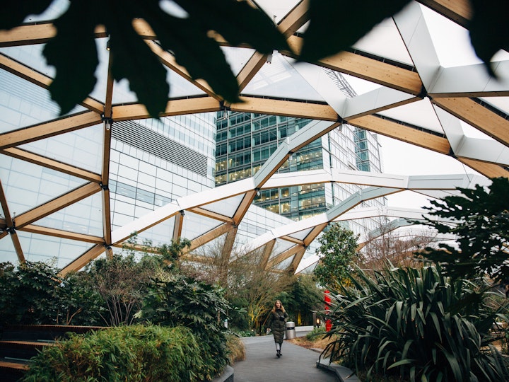 Projects and activities