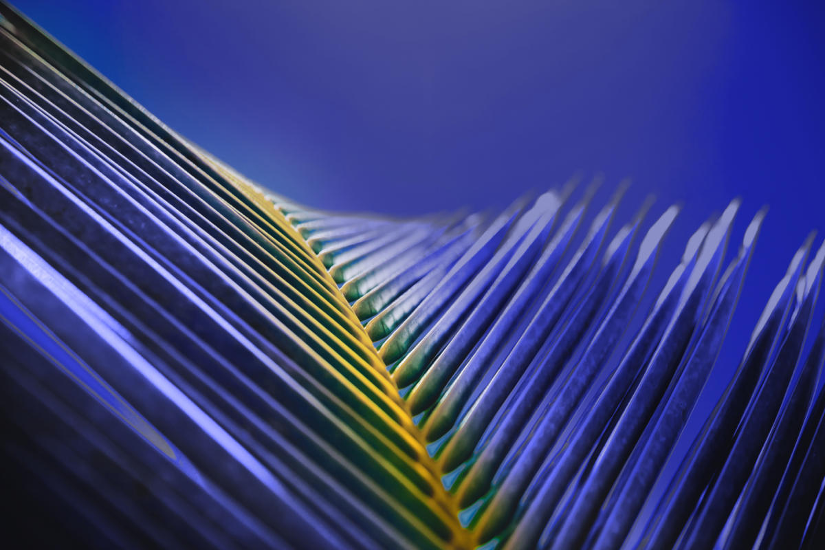 Empowering leaders with evidence-based coaching for resilience and impact