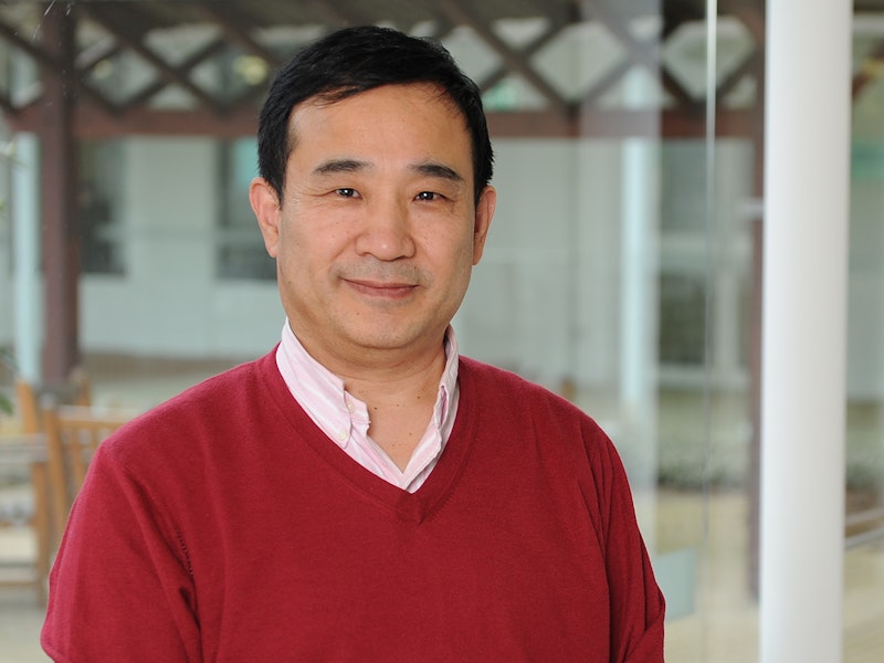 Professor Yinshan Tang