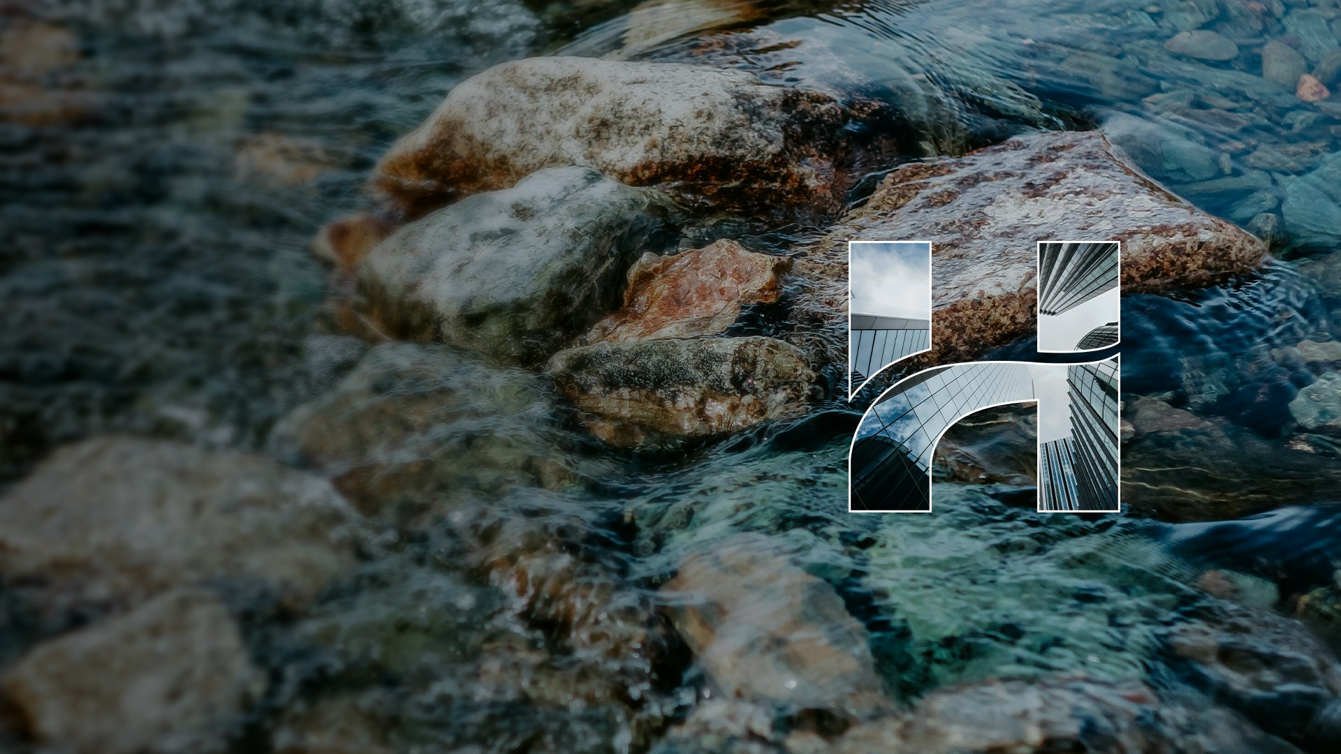 Leadership Banner Desktop