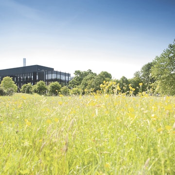 University of Reading Campus