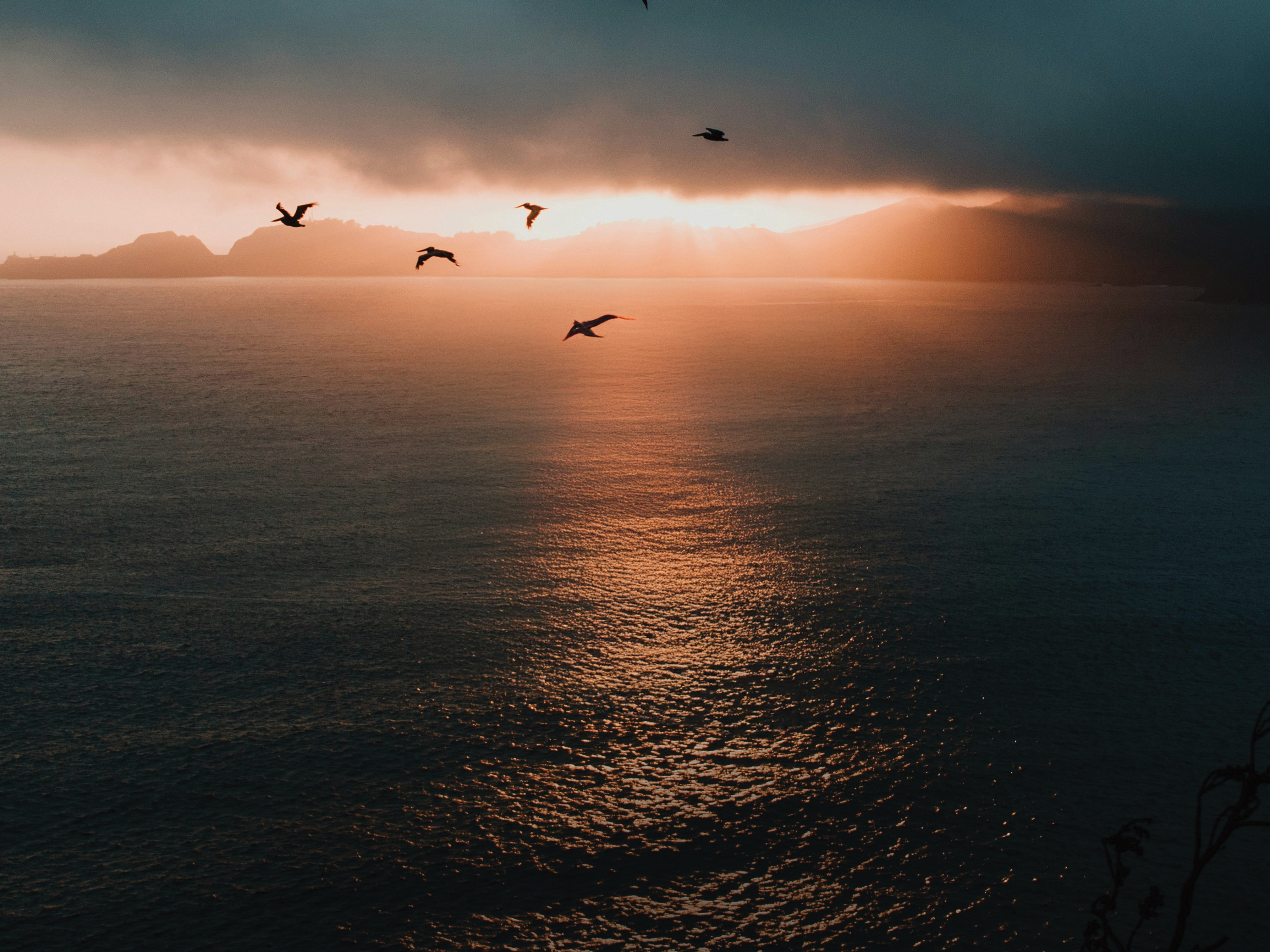 CMDA MP Hero autumn 4 3