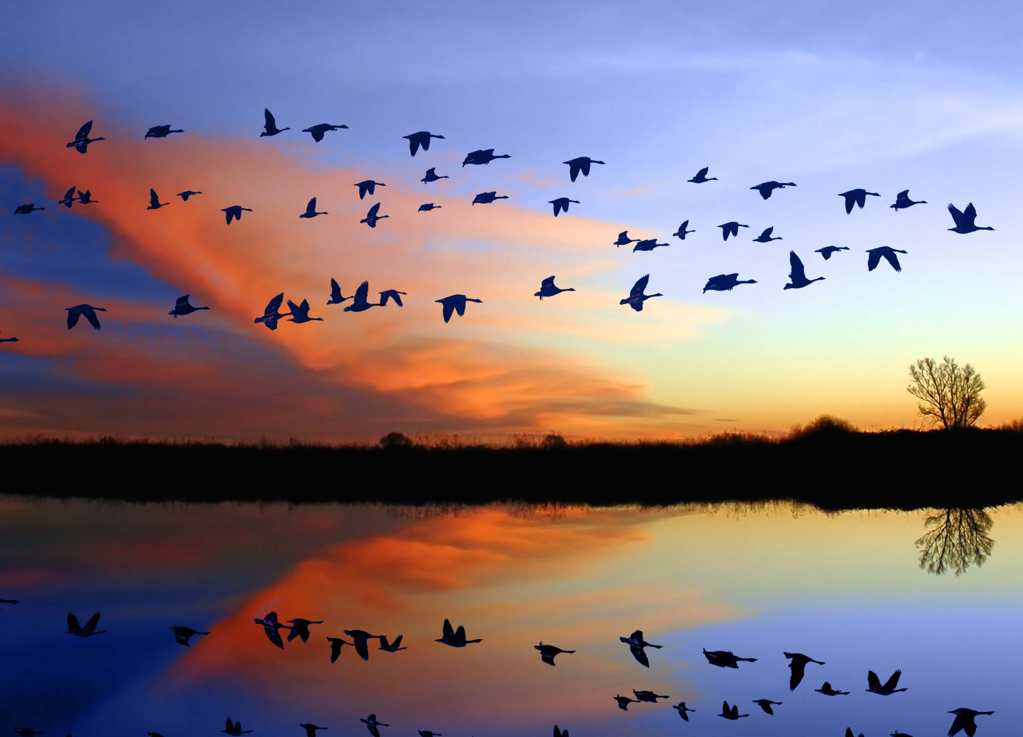 Apprenticeship numbers cap removed for small businesses