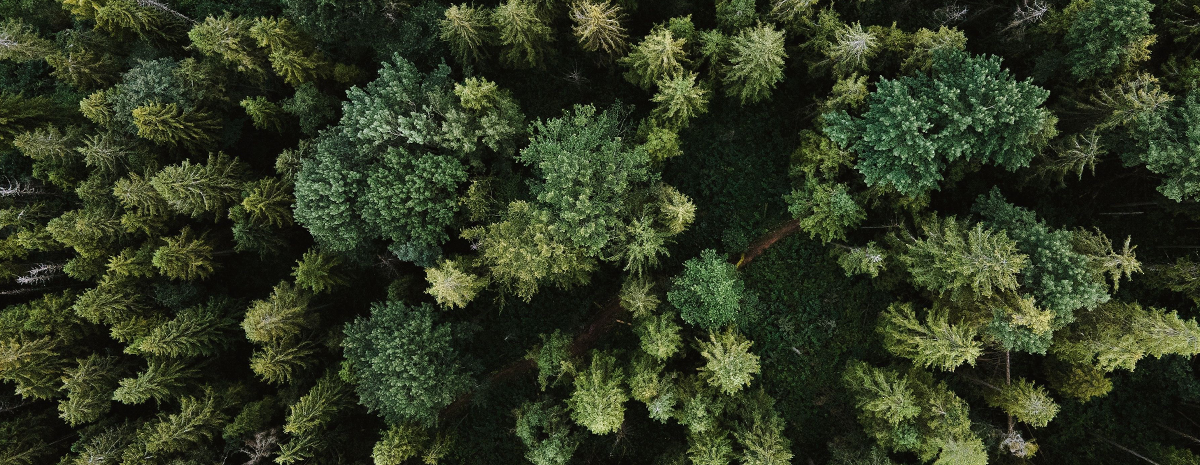 Talent: Cultivating capabilities across the board